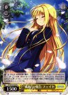  N2/W25-P05 PR “家族”の報告 フェイト 
