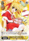 NTA/WE48-12 N フェイトサンタ