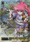 NTA/WE48-15LCR LCR 新年をみんなと シグナム(箔押し入り)