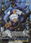 NTA/WE48-56LCR LCR 八神家の騎士 ザフィーラ(箔押し入り)