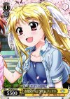  NR/W58-013 C お花見ティータイム フェイト 