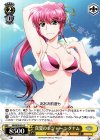  NR/W58-014 C 真夏のレジャー シグナム 