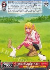  OSK/S121-029 RR 自然とのふれあい ルビー 