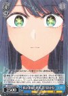 OSK/S133-069 R 積み重ねた研究 黒川あかね