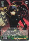 P3/SC01-031R RE メティス＆プシュケイ