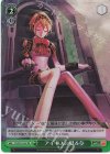 P3/SC01-047 RE アイギスの見る夢