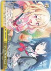  PJS/S91-029 CC やりたい100のこと 