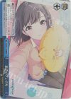  PJS/S91-105R RRR 最高のアングル 