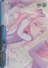  PJS/S91-106R RRR 譲れないこだわり 