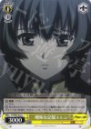  PT/W07-015 C 曖昧な記憶エレン 