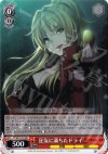  PT/W07-051 RR 狂気に満ちたドライ 