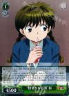 KR/SE30-01 RR “穏やかな昼餐”桜