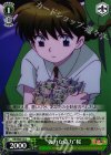 KR/SE30-12 U “強力な協力”桜