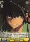 RKN/S115-030 C 踏みにじられた士族の誇り 明神弥彦