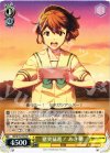 RN/W16-T03 TD 猪突猛進! あき穂