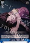 RN/W16-096 U 「あねもね」号集団失神事件