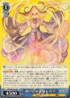 RSK/SE44-30 RR 助けたい意思 ヒカリ
