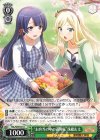 RSL/S69-041 U “お弁当の中の満開桜”珠緒&文