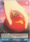  RSL/S98-097 U 熟れたトマト 