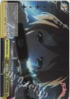 RSL/S98-021SCC SCC 皆殺しのレヴュー(箔押し入り)