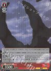 RZ/SE35-46 S-C 黒水(ホロ) 
