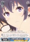 SHS/W71-096 C 誤解と制裁 美智留
