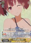 SHS/W71-005S SR 水辺の挑発 出海