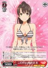 SHS/W71-P01 PR こだわりの犠牲者 恵