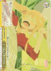  SHS/W98-029 CC いつだって変わらない 