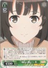  SHS/W98-042 U 二度目の戦いへ 恵 