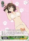  SHS/W98-P04 PR ネコミミ美少女 恵 