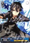 SAO/S20-T07 TD 戦いのはじまり キリト