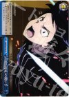  SAO/S20-T14 TD 《二刀流》の使い手 
