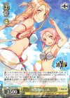 SAO/S71-009 R 天然色の二人