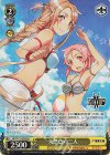 SAO/S71-009S SR 天然色の二人