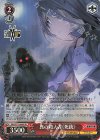 SAO/S71-066S SR 真の殺人者《死銃》