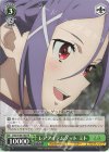 SAO/S100-103 PR レアアイテムゲット ミト