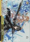 SAO/S100-024R RRR 剣の世界