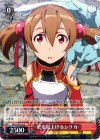  SAO/S26-043 R 空を見上げる シリカ 