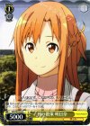 SAO/SE23-04 C 秋の散策 明日奈