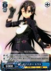SAO/SE23-30 C 麗しのアバター キリト