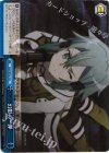 SAO/SE23-35 CC 幻影の一弾