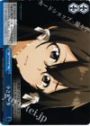 SAO/SE23-36 CC 小さな一歩