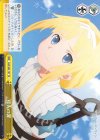  SAO/S65-T07 TD 指先の罪 