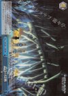  SAO/S65-T19R RRR 昔日の冒険 
