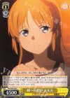  SAO/S65-018 C 姉への想い セルカ 