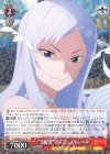 SAO/S65-057 R “支配者”アドミニストレータ