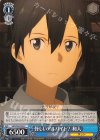  SAO/S65-093 C 怪しいアルバイト? 和人 
