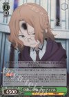  SAO/S65-028S SR 仇敵との戦い カーディナル 