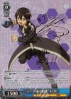 SAO/S65-069SP SP “ユージオの相棒”キリト(サイン入り)